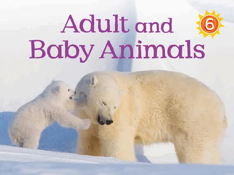 Kelly Ward-Wills - Adult and Baby Animals, Häftad. Tillgänglighet: Tillfälligt slut