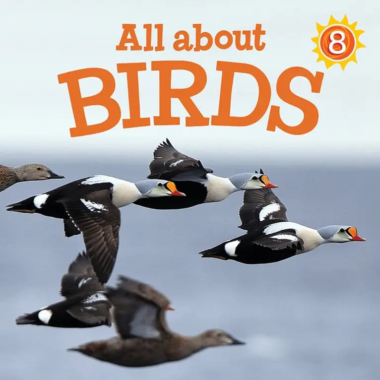 Jessie Hale - All about Birds, Häftad. Tillgänglighet: Tillfälligt slut