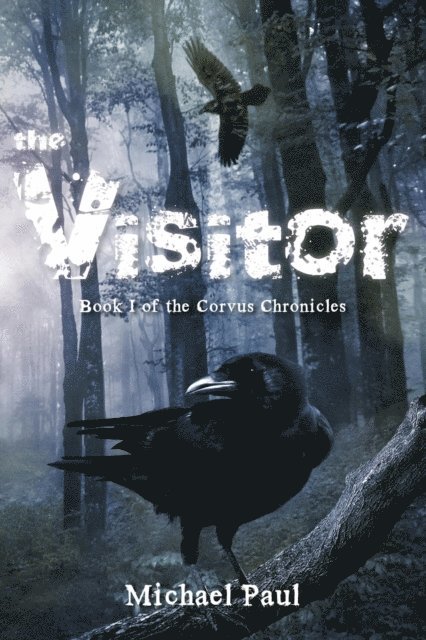 Michael Paul - Visitor, E-bok