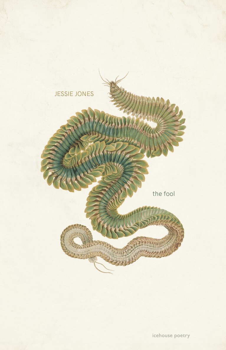 Jessie Jones - Fool, Häftad