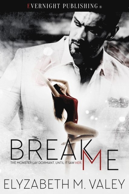 Elyzabeth M. VaLey - Break Me, E-bok