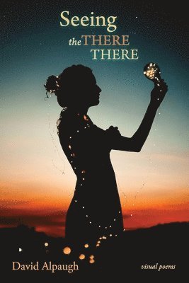 David Alpaugh - Seeing the There There, Häftad