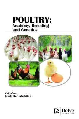 Nada Ben Abdallah - Poultry, Inbunden. Tillgänglighet: Lägg i varukorg