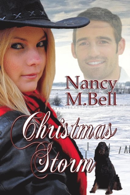 Nancy M Bell - Christmas Storm, E-bok