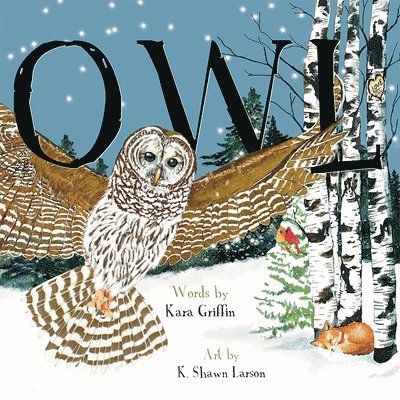 Kara Griffin - Owl (Pb), Häftad