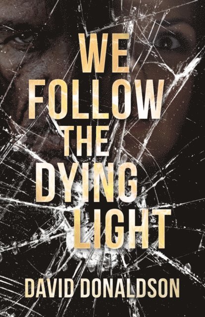 David Donaldson - We Follow the Dying Light, E-bok