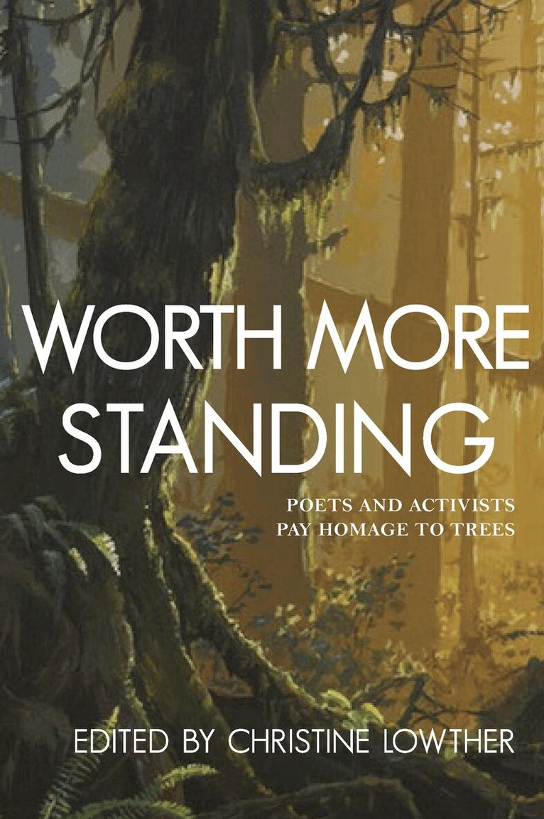 Christine Lowther, Christine Lowther - Worth More Standing, Häftad