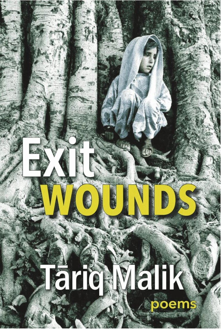 Tariq Malik - Exit Wounds, Häftad