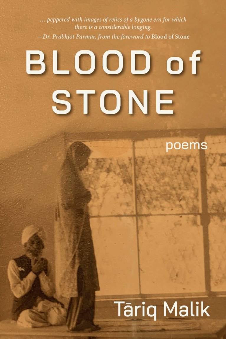 Tariq Malik - Blood of Stone, Häftad