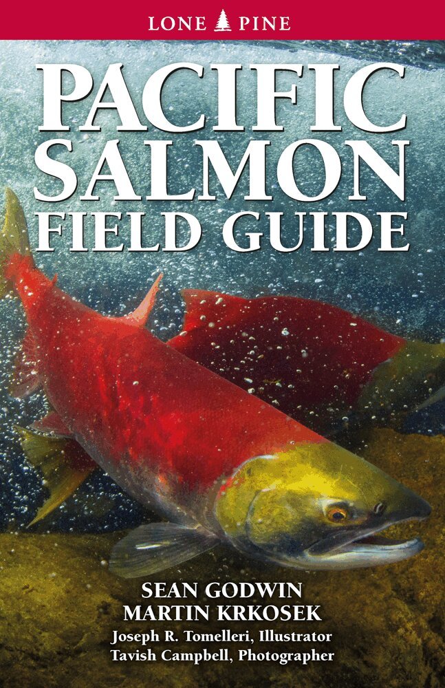 Sean Godwin, Martin Krkosek - Pacific Salmon Field Guide, Häftad