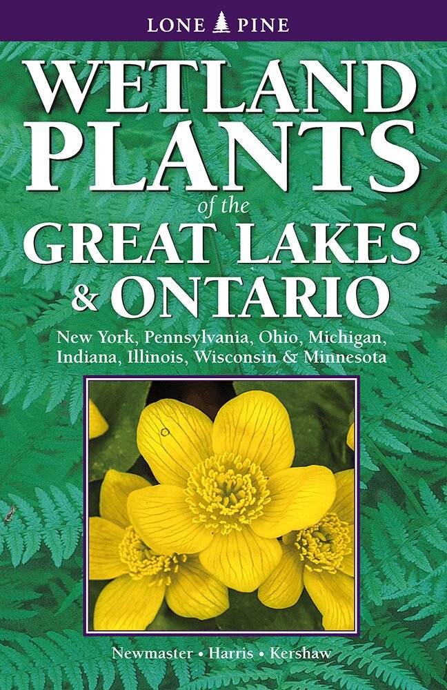 Steven Newmaster, Alan Harris, Linda Kershaw - Wetland Plants of the Great Lakes and Ontario, Häftad. Tillgänglighet: Lägg i varukorg