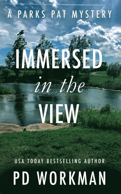 Immersed in the View