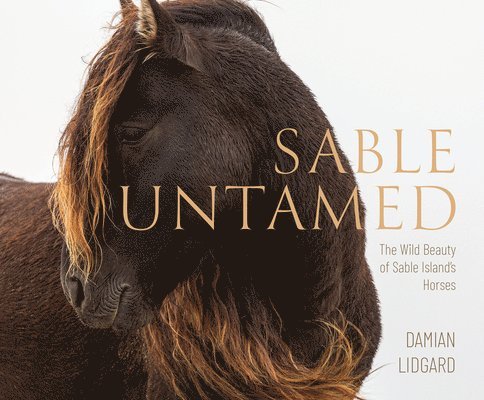 Damian Lidgard - Sable Untamed, Inbunden