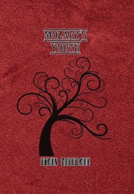 Franz Hoffmann - Mozart's Youth, E-bok