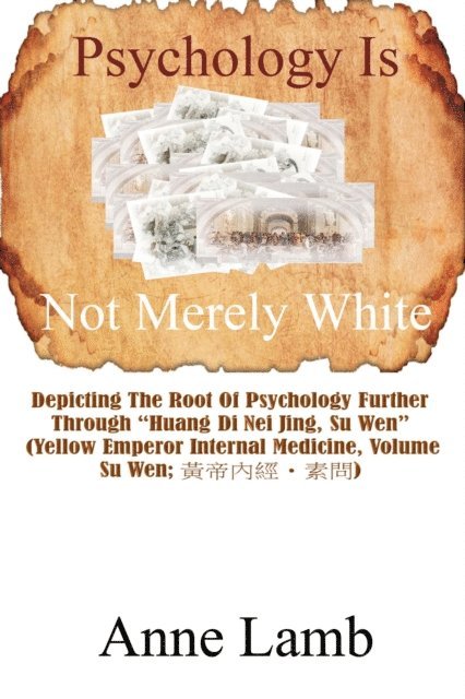Anne Lamb - Psychology Is Not Merely White, E-bok