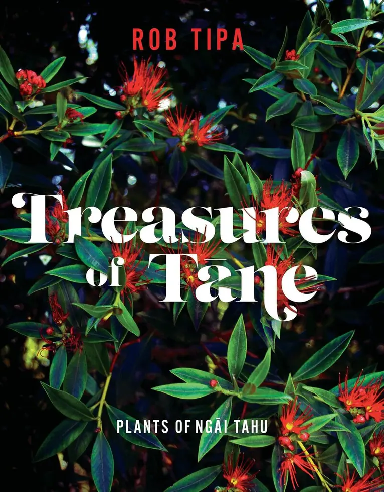 Rob Tipa - Treasures of Tane, Häftad. Tillgänglighet: Lägg i varukorg