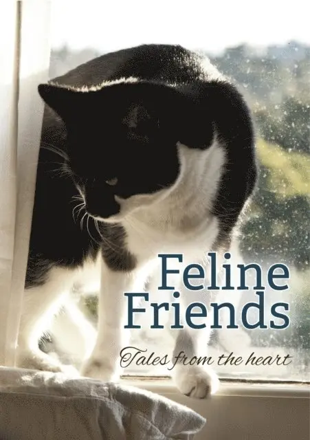 Cat Protection Society of NSW - Feline Friends, E-bok. Tillgänglighet: Lägg i varukorg