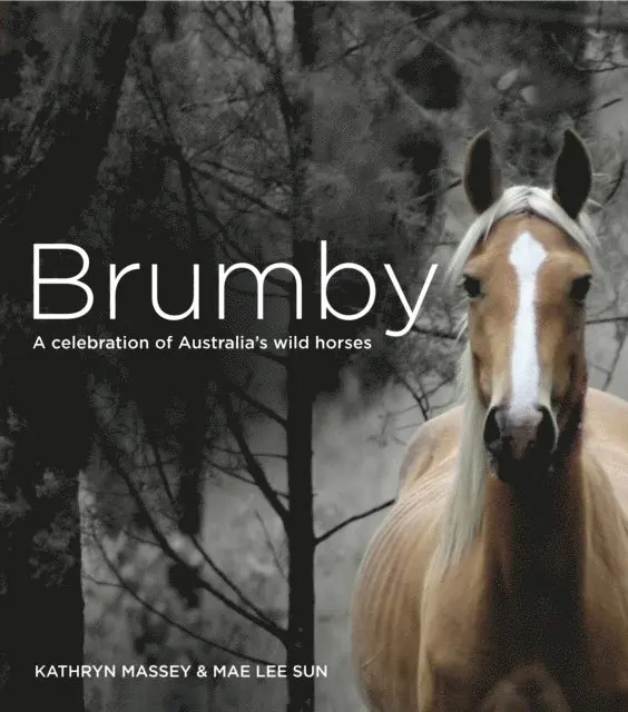 Mae Lee Sun, Kathryn Massey - Brumby, E-bok. Tillgänglighet: Lägg i varukorg