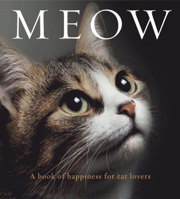 Anouska Jones - Meow, E-bok