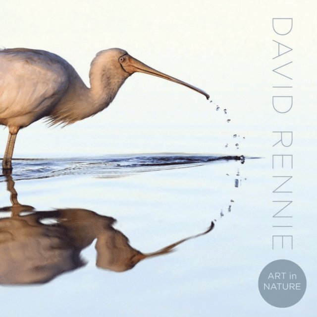 David  Rennie - Art in Nature, E-bok