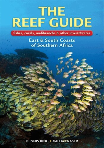 Dennis King - Reef Guide, Häftad