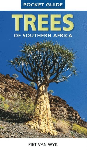 Piet van Wyk - Pocket Guide Trees of Southern Africa, E-bok