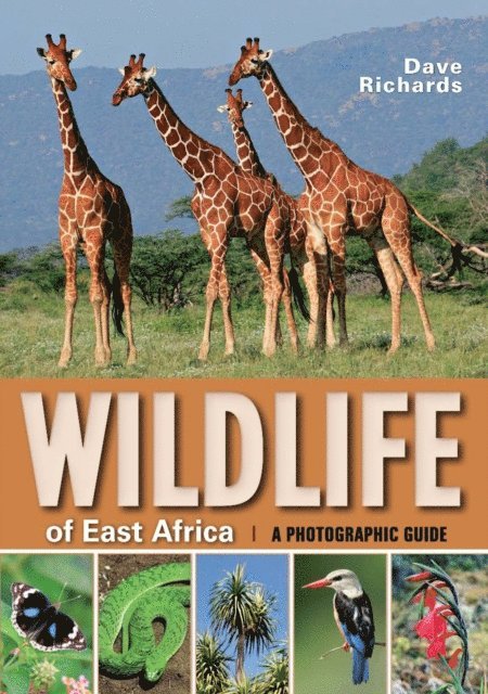 Dave Richards - Wildlife of East Africa, E-bok