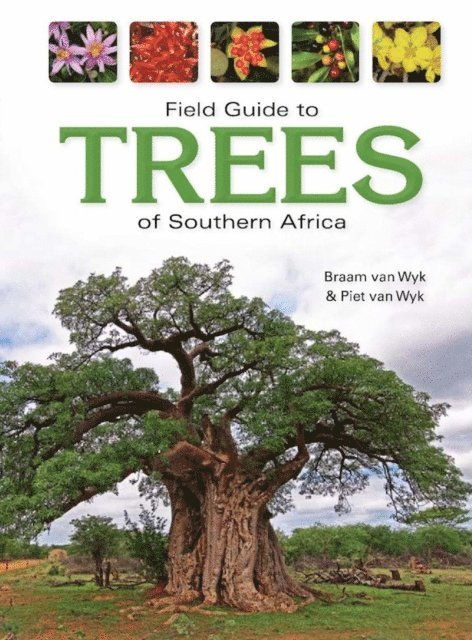 Braam van Wyk - Field Guide to Trees of Southern Africa, E-bok