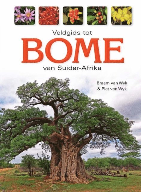 Braam van Wyk - Veldgids tot Bome van Suider-Afrika, E-bok