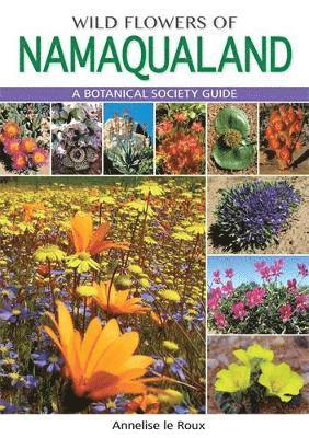 Wild Flowers of Namaqualand av Annelise le Roux, Annelise Le Roux