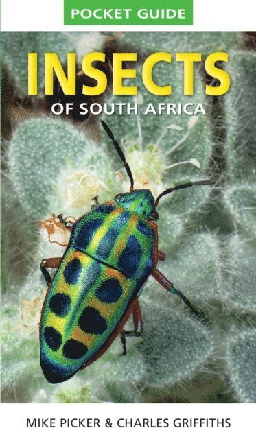 Mike Picker - Pocket Guide to Insects of South Africa, E-bok