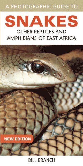 Bill Branch - Photographic Guide to Snakes, Other Reptiles and Amphibians of East Africa, A, E-bok