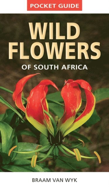 Braam van Wyk - Pocket Guide to Wildflowers of South Africa, E-bok