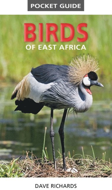 Dave Richards - Pocket Guide to Birds of East Africa, E-bok