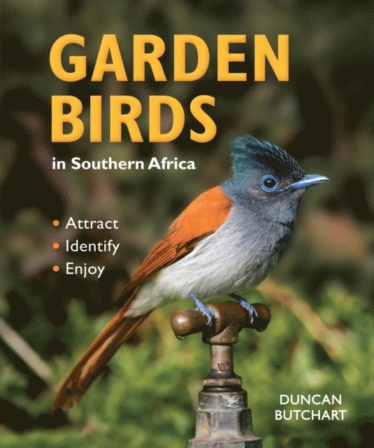 Duncan Butchart - Garden Birds in Southern Africa, E-bok