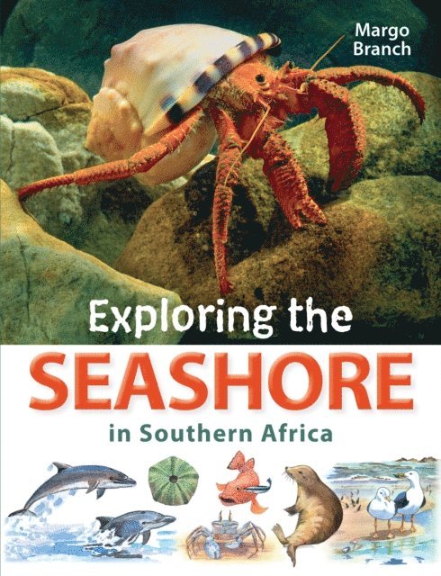 Margo Branch - Exploring the Seashore in Southern Africa, E-bok