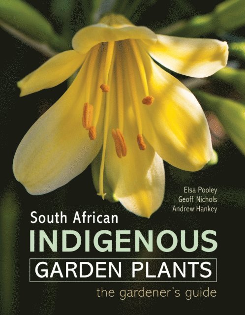 South African Indigenous Garden Plants