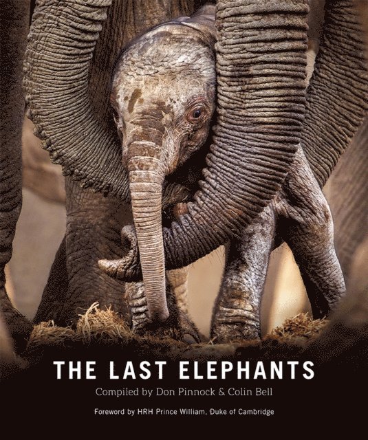 Don Pinnock, Colin Bell - Last Elephants, E-bok