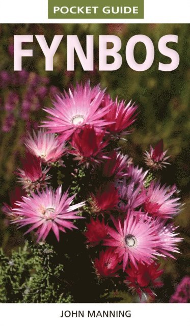 John Manning - Pocket Guide Fynbos, E-bok