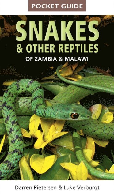 Luke Verburgt, Darren Pietersen - Pocket Guide Snakes & Other Reptiles of Zambia & Malawi, E-bok