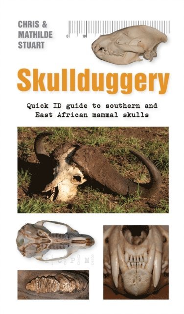 Mathilde Stuart, Chris Stuart - Skullduggery, E-bok