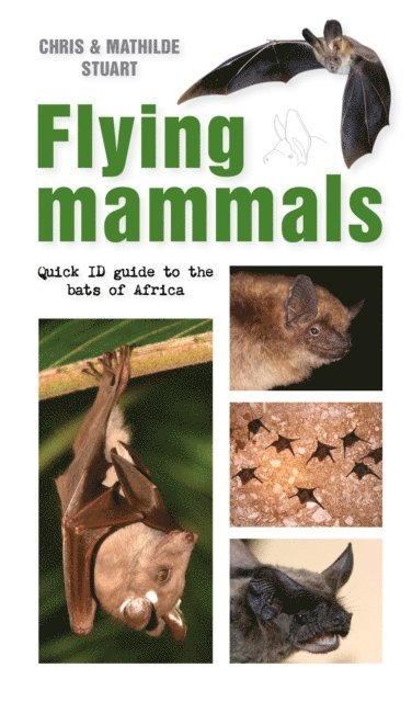 Mathilde Stuart, Chris Stuart - Flying Mammals, E-bok