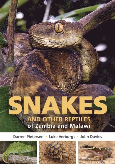 John Davies, Luke Verburgt, Darren Pietersen - Snakes and other Reptiles of Zambia and Malawi, E-bok