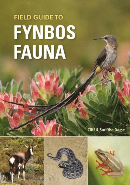 Suretha Dorse, Cliff Dorse - Field Guide to Fynbos Fauna, E-bok. Tillgänglighet: Lägg i varukorg