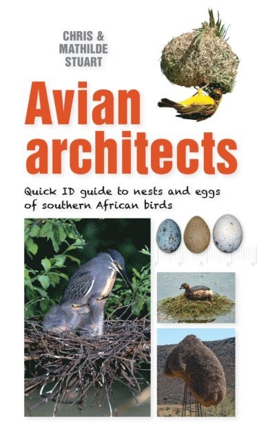 Mathilde Stuart, Chris Stuart - Quick ID Guide - Avian Architects, E-bok