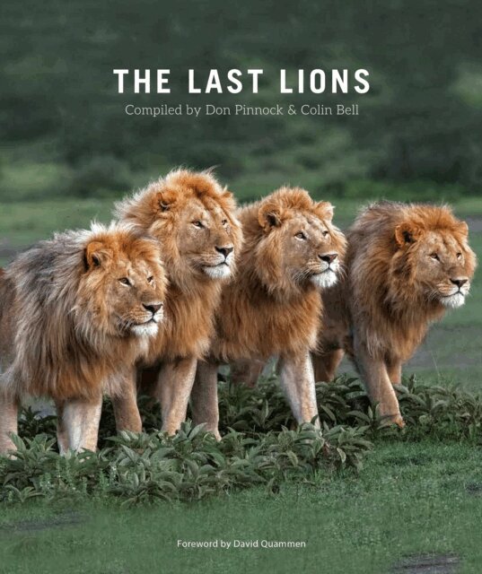 Don Pinnock, Colin Bell - Last Lions, E-bok