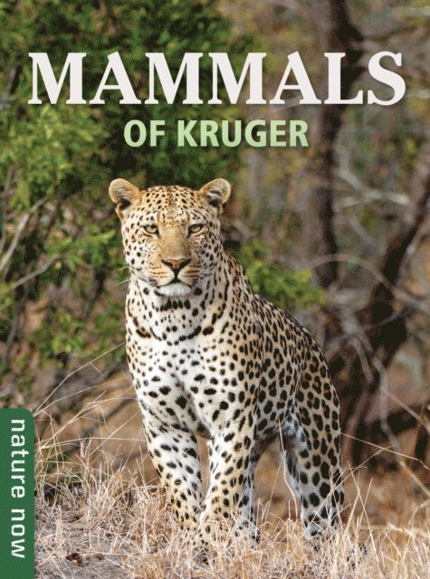 Joan Young - Mammals of Kruger, E-bok