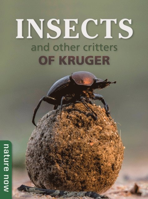 Joan Young - Insects and other Critters of Kruger, E-bok