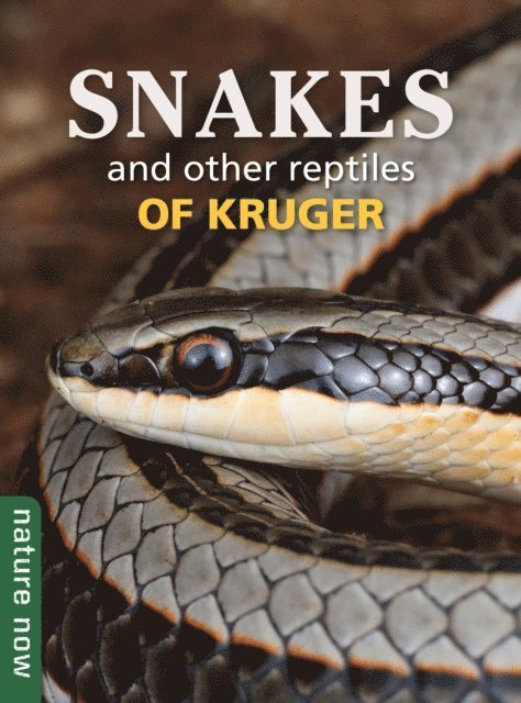 Luke Kemp, Johan Marais - Snakes and other reptiles of Kruger, E-bok
