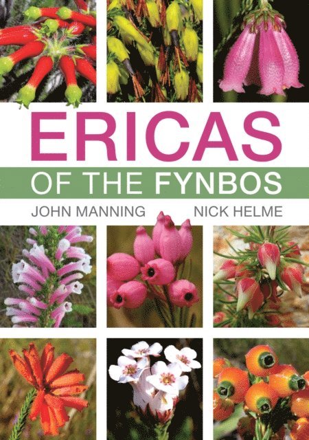 Nick Helme, John Manning - Ericas of the Fynbos, E-bok